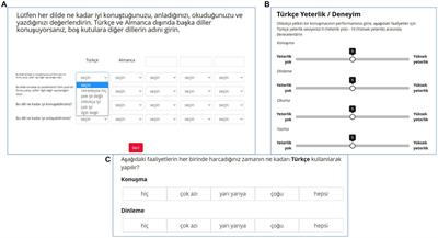 Documenting <mark class="highlighted">heritage language</mark> experience using questionnaires